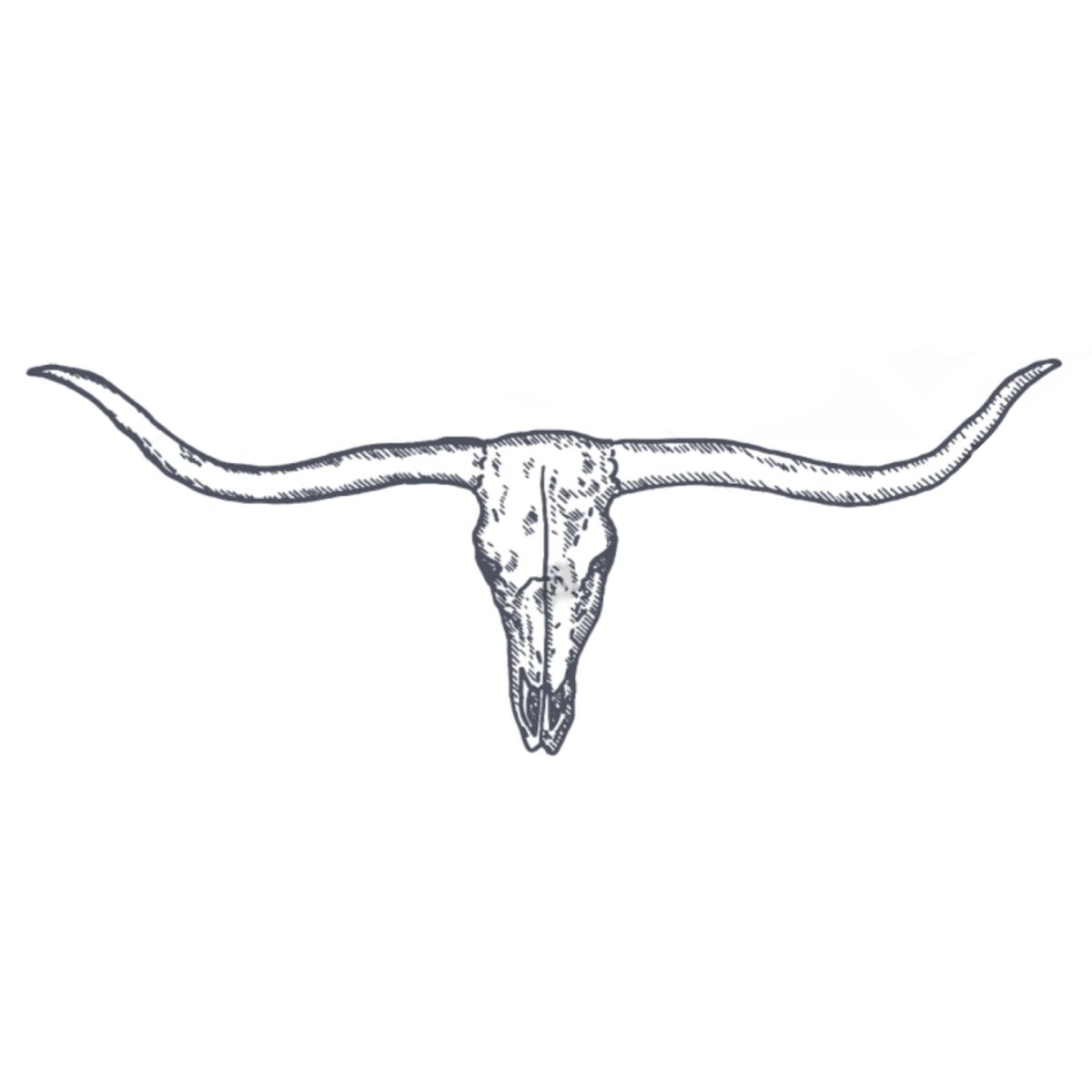 Longhorn Skull Tattoo Designs Longhorn Skull Tattoo Designs