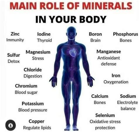 Main Role Of Minerals In Your Body Youtube