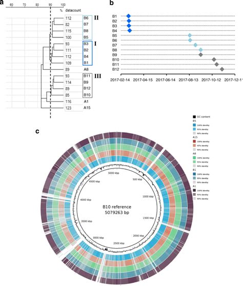Maldi Tof Ms Based Typing Of The S Marcescens Isolates B1 B12 From Maldi Tof Ms Based Typing Of The S Marcescens Isolates B1 B12 From