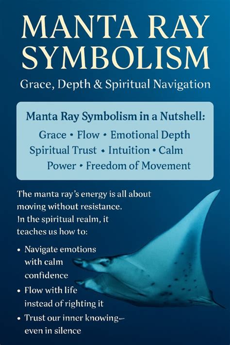 Manta Ray Symbolism And Meaning Your Spirit Animal