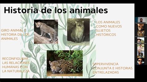 Manuel Valtierra Atopy Reports: Key Insights & Updates