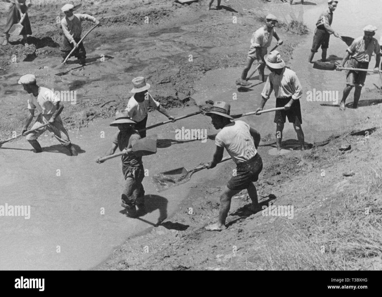 Map Of Agro Pontino In 1940 After Reclamation Light Green Common
