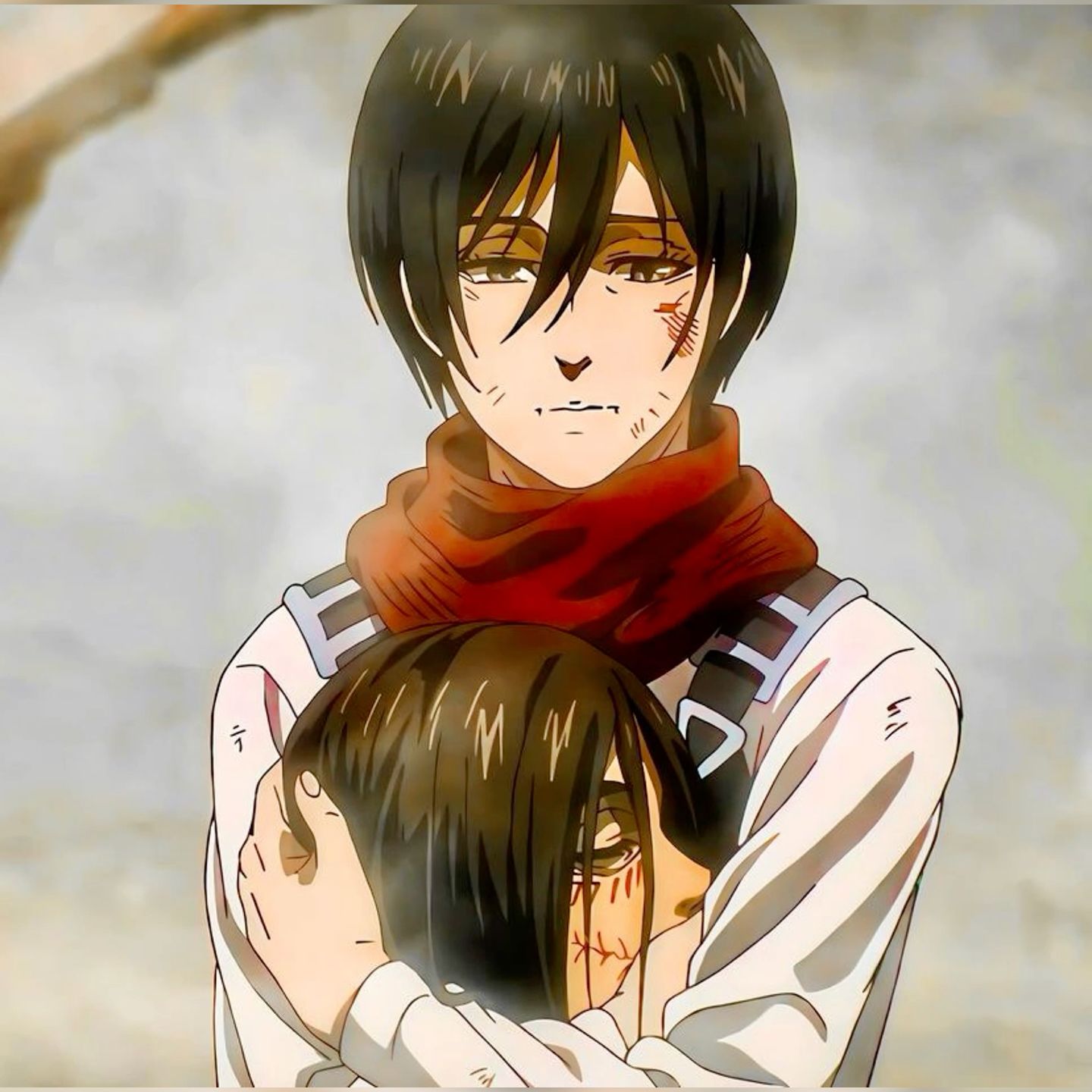 Mikasa Holding Eren S Head Kyojin Shingeki No Kyojin