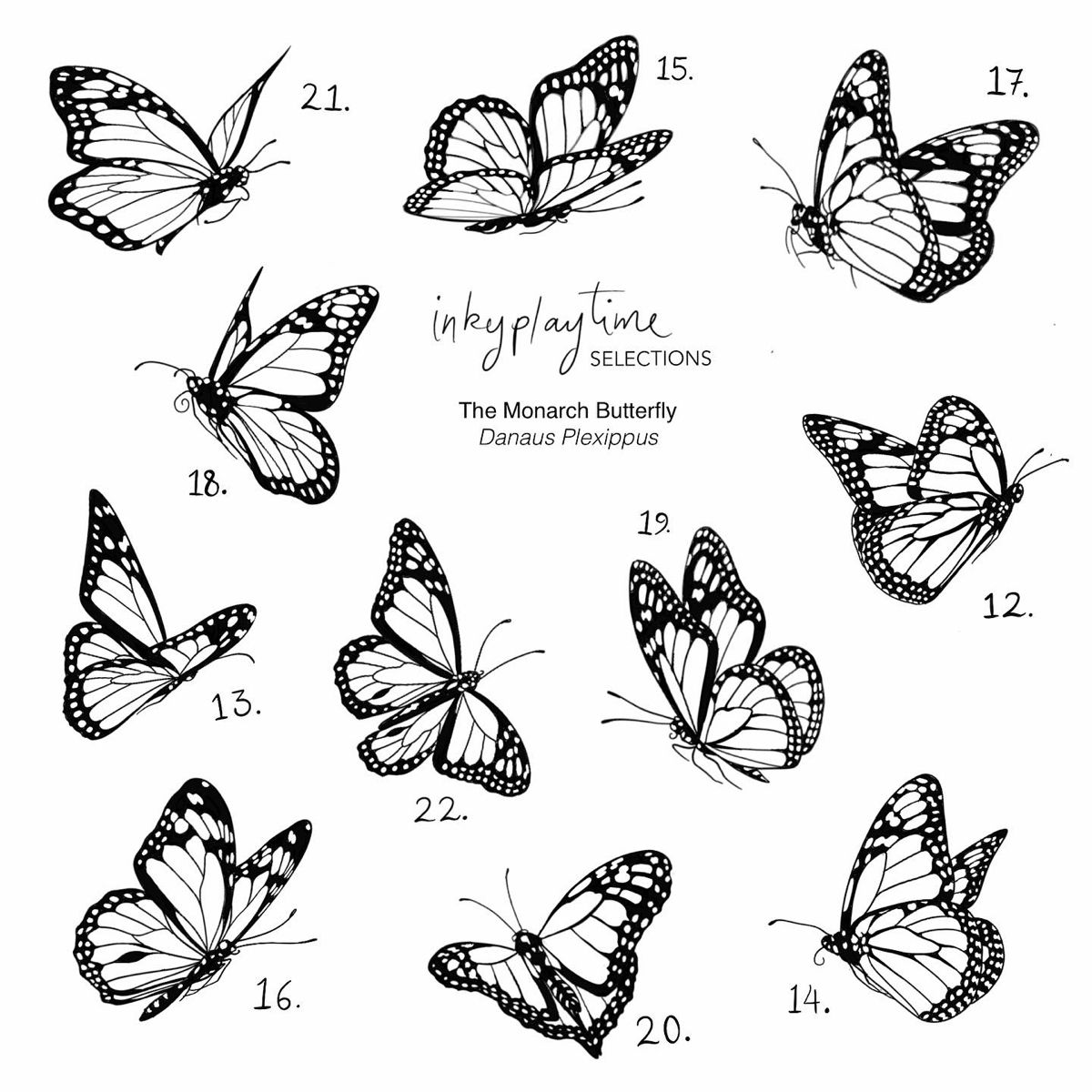 Monarch Butterfly Tattoo Outline: Simple & Stunning Design Ideas