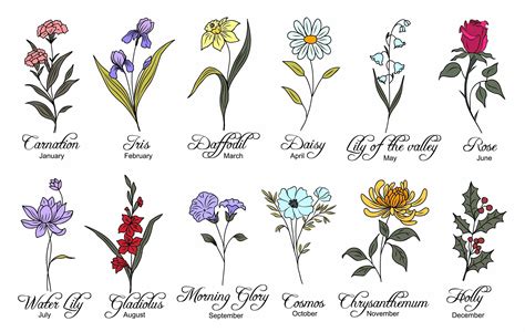 Monthly Birth Flowers And Their Meanings Birth Flower Tattoos Birth