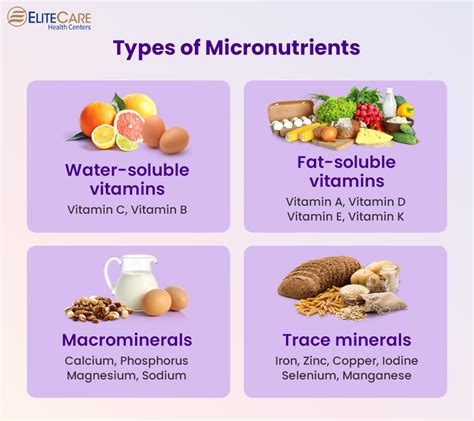Does More Body Weight Mean Higher Micronutrient Needs?