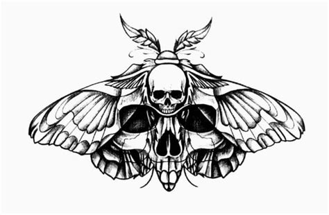 Moth Skull Head Tattoo Design Traditional Butterfly Tattoo Neo