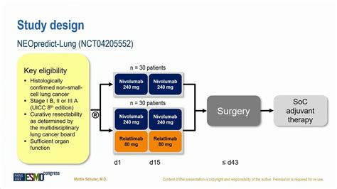 Neoadjuvant Nivolumab Combination Treatment In Resectable Non Small
