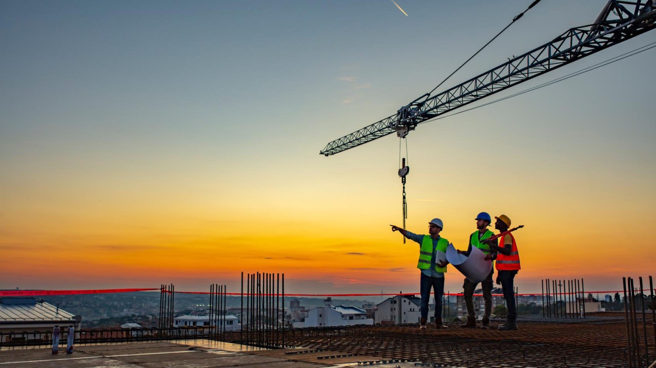 Newsletter Platypod November 2022 Platypod Com