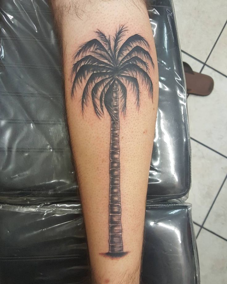 Nice 55 Fine Palm Tree Tattoo Ideas Easy And Super Cute Totems Palm