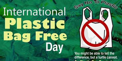 No Plastic Day 10 Things To Know About This Day Tfipost Com No Plastic Day 10 Things To Know About This Day Tfipost Com