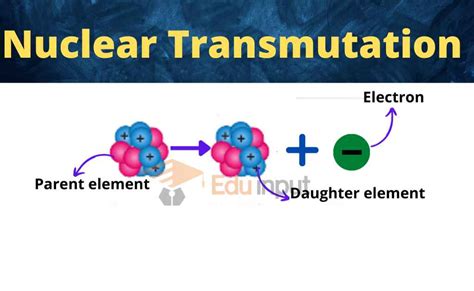Nuclear Transmutation Decay Reactions Alpha Decay Beta Decay And