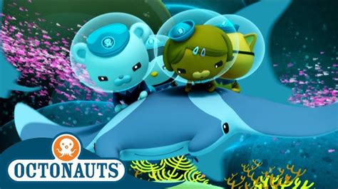 Octonauts Dynamic Duos Cartoons For Kids Underwater Sea