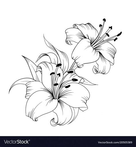 Elegant Lily Tattoo Design Ideas & Inspiration Guide