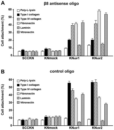 Overexpression Of Integrin V Facilitates Proliferation And Invasion Of