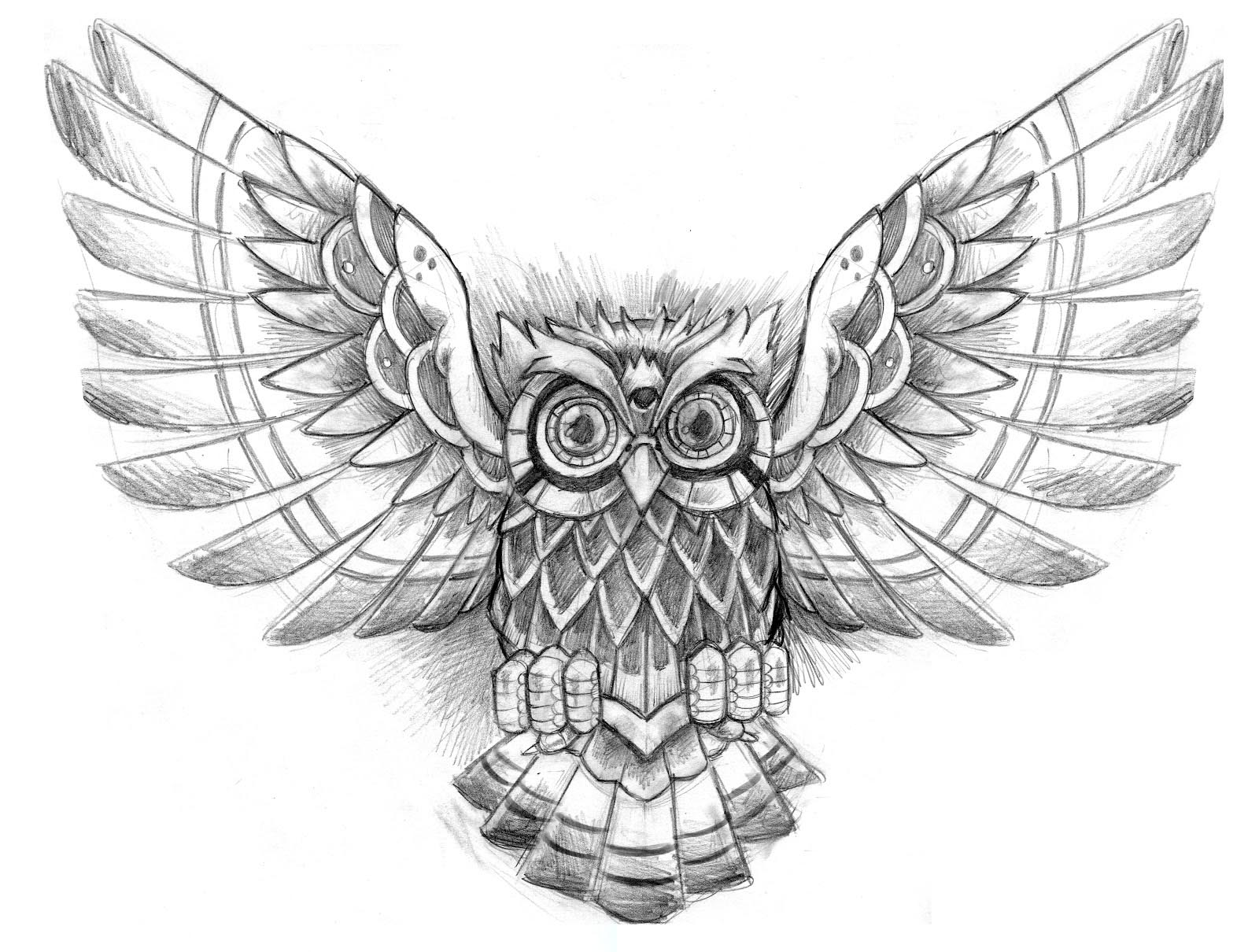 Owl Tattoos