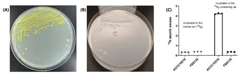 Pantoea Eucalypti Strain: Unlocking Microbial Secrets
