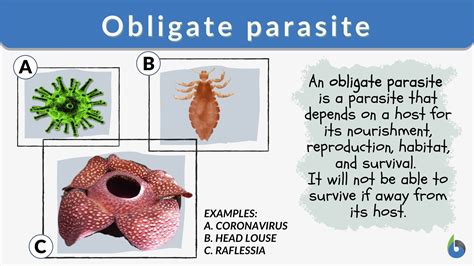 Unraveling the Parasite Definition: An Odyssey Through Biology