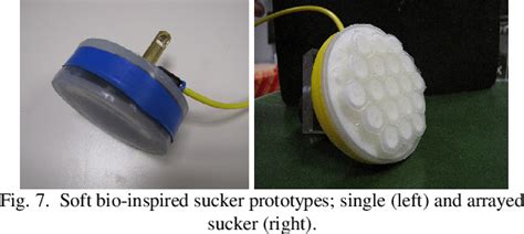 Pdf Design And Development Of Innovative Adhesive Suckers Inspired By