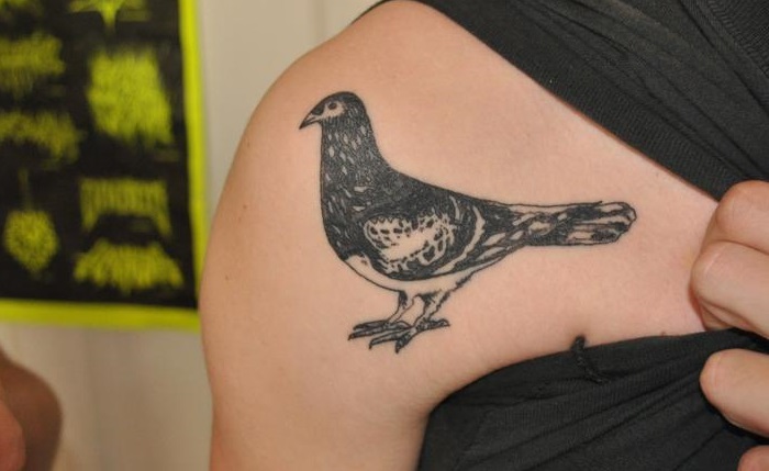 Pigeon Dove Tattoo Meaning Symbolism Designs And Ideas