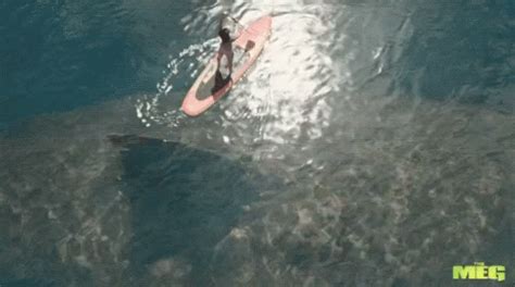 Pit Bulls Or Sharks Which Do You Fear Most Sherdog Forums Ufc