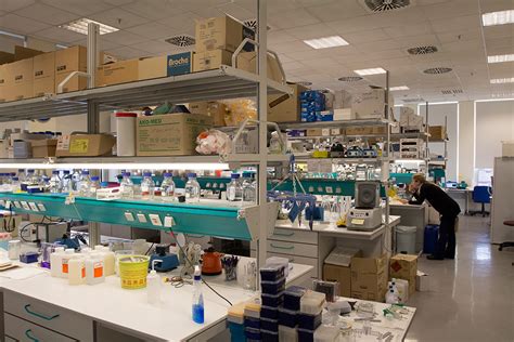 Plant Biotechnology Lab Molecular Biology Genetics And Bioengineering