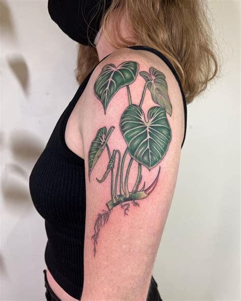 Plant Tattoos Tattoo Ideas