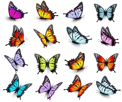 Premium Vector Collection Of Butterflies Flying In Different