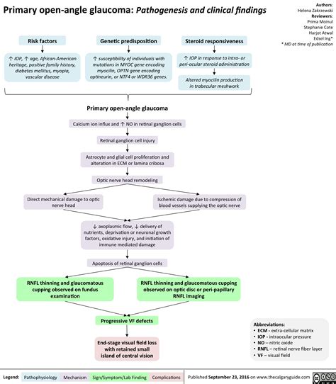 Primary Open Angle Glaucoma Pathogenesis And Clinical Findings Primary Open Angle Glaucoma Pathogenesis And Clinical Findings