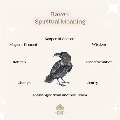 Raven Symbolism What Do Ravens Symbolize