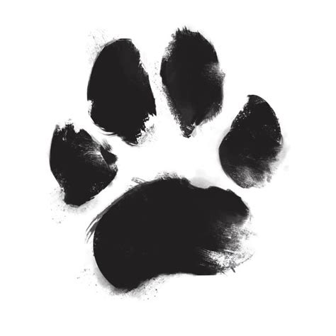 Realistic Dog Paw Print: Tips for Perfect Replication