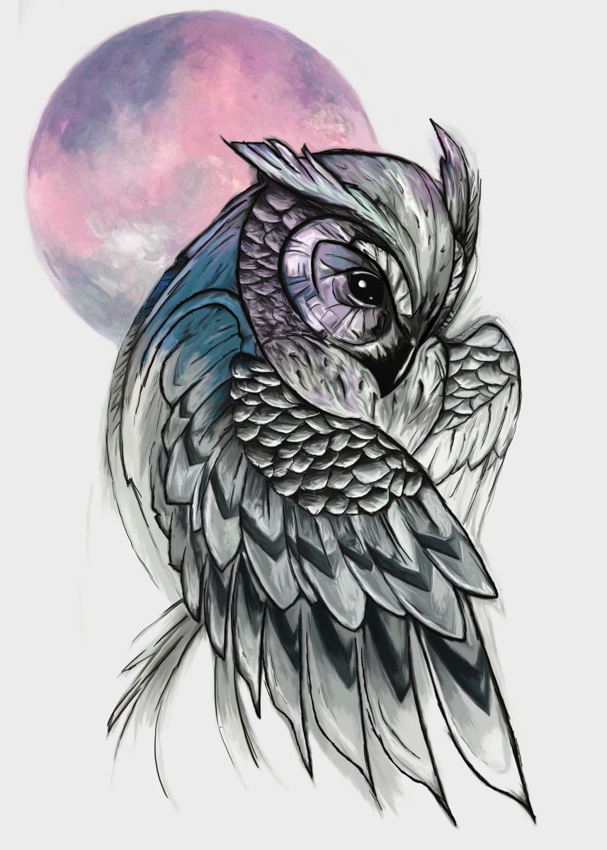 Realistic Owl Tattoo Drawing