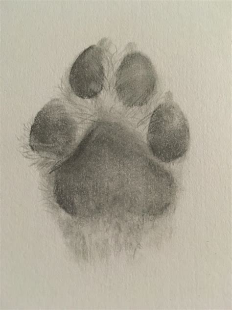 Realistic Paw Print Drawing Goimages I