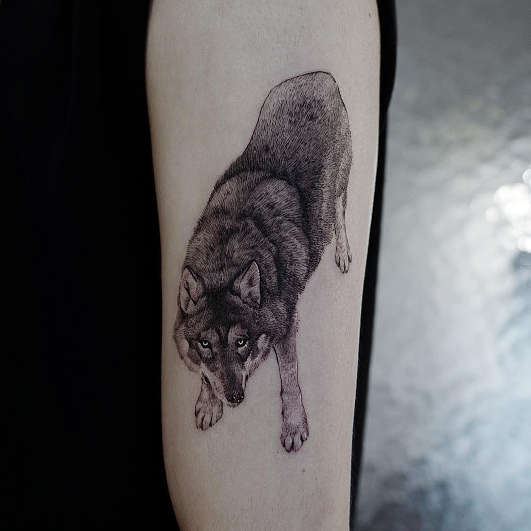Realistic Wolf Tattoo