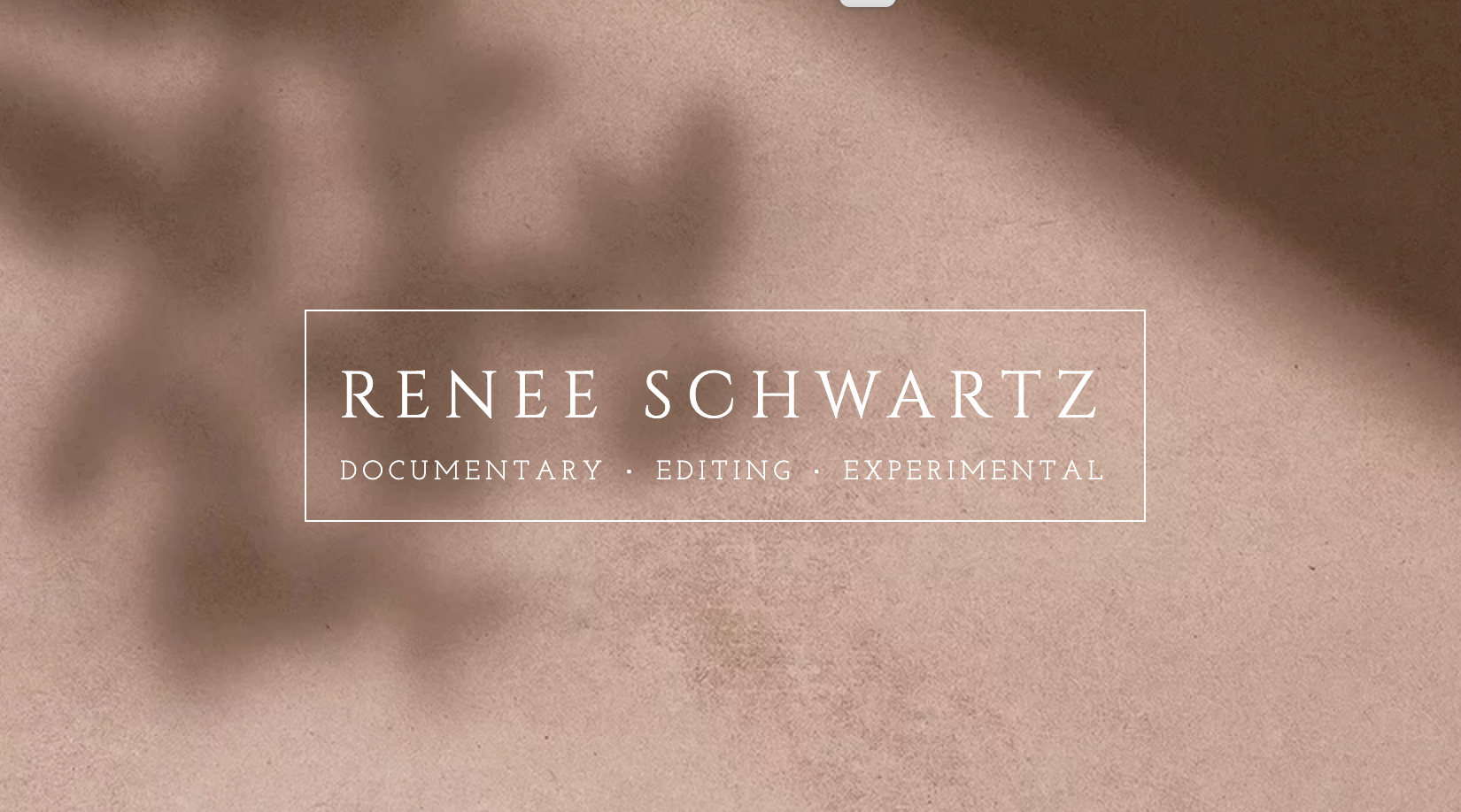 Renee Schwartz Enterprise: Innovation & Success Insights