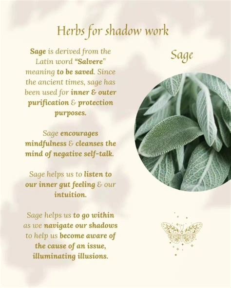 Sage Meaning in Odysseus: Unveiling Ancient Wisdom