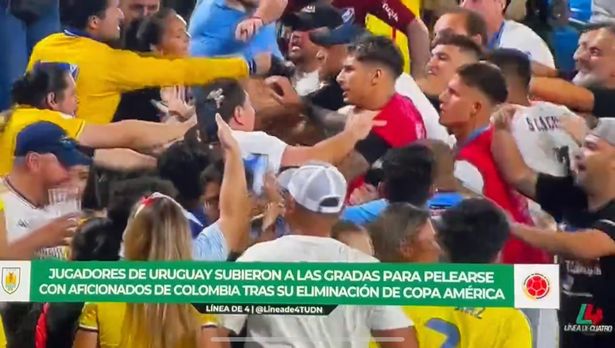 Saint Marq Punches Chris Nunez: Shocking Altercation Explained