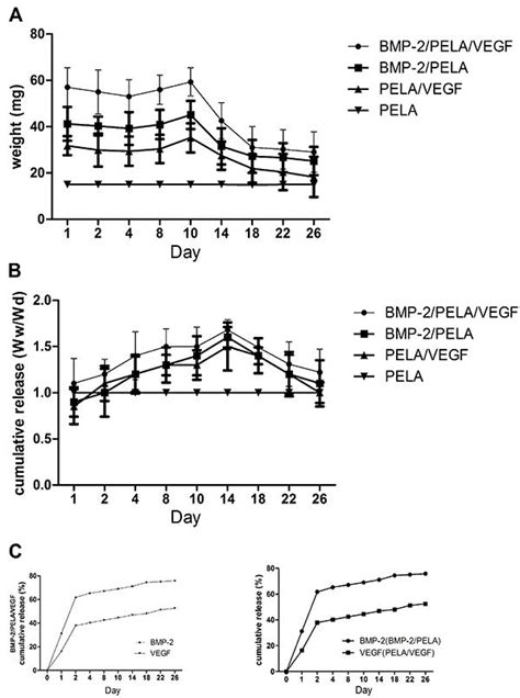 Scielo Brasil Combined Effects Of Bone Morphogenetic Protein 7 And