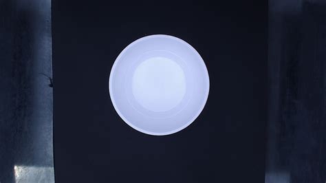 Segregation Model: How Misinformation Fuels Division