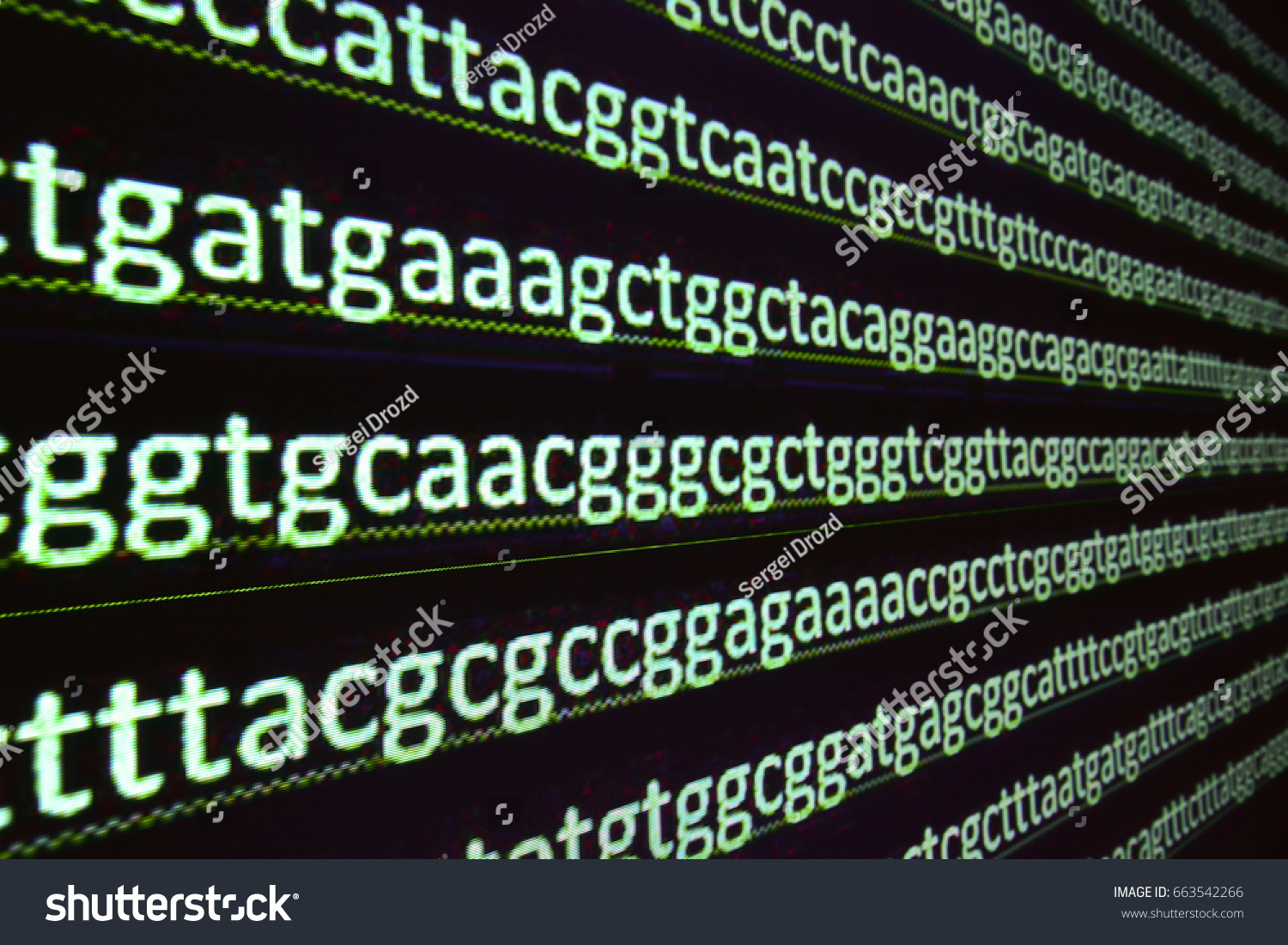 Sequencing Gene Sequence Nucleotide Bases Decoded Stock Photo 663542266