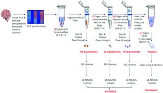 Serial In Solution Digestion Protocol For Mass Spectrometry Based