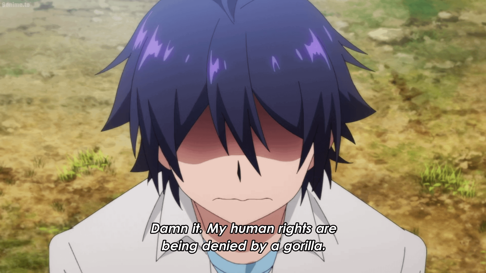 Shinka No Mi Shiranai Uchi Ni Kachigumi Jinsei Anime Vietsub Ani4u Org