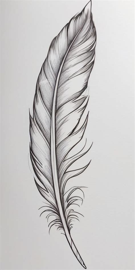 Delicate Soft Feather Tattoo Ideas for Inspiration  
Creative Feather Tattoo Designs: Soft & Elegant  
Soft Feather Tattoos: Minimalist Drawing Ideas  
Elegant Soft Feather Tattoo Art & Sketches  
Unique Soft Feather Tattoo Concepts for 2023