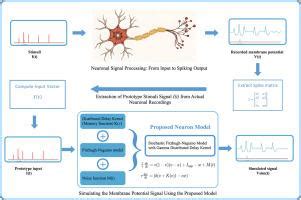 Stochastic Dynamics Of The Fitzhugh Nagumo Neuron Model Through A