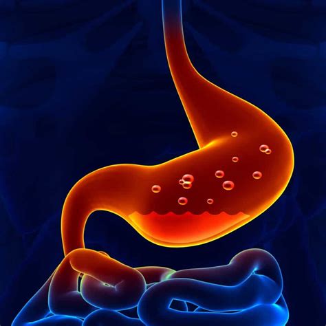 Stomach Acid