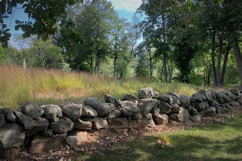 Stone Walls with Leaces: A Unique Blend of Nature and Structure
