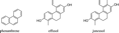 Structures Of Phenanthrene Effusol And Juncusol Download Scientific