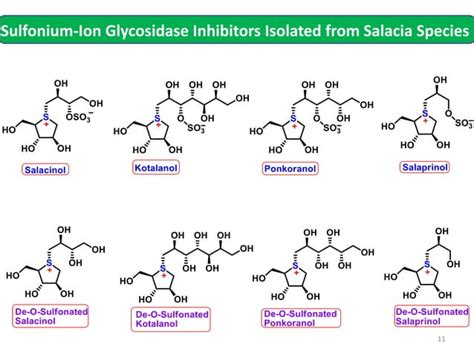 Sulfonium Ion Glycosidase Inhibitors And Their Derivatives Ppt Sulfonium Ion Glycosidase Inhibitors And Their Derivatives Ppt