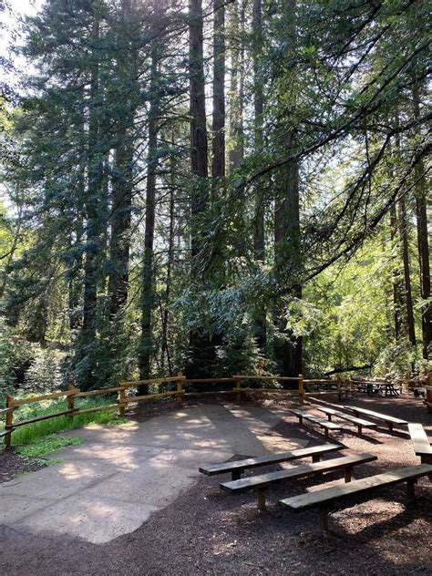 Summer Solstice Service At Church Of The Wildwood Canyon Meadow