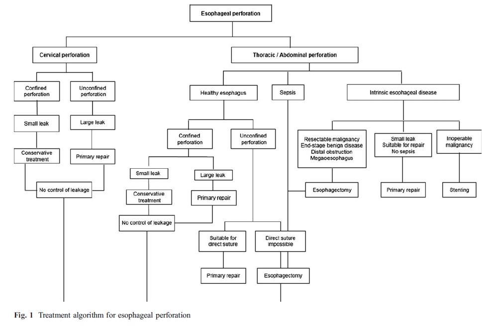 Surgical Management Of Esophageal Perforation Operative Techniques In